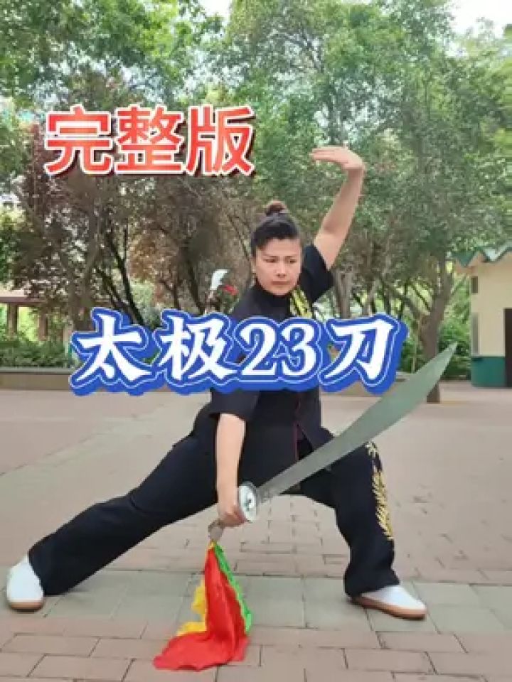 太极23刀完整版.#发扬传武精神