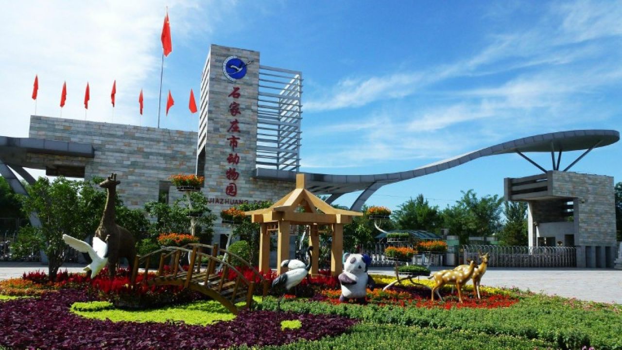 石家庄市动物园,自然景色与人工建筑巧妙结合,观赏珍禽异兽的同时