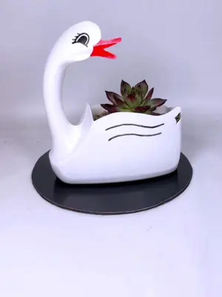 洗衣液瓶子改造天鹅花盆 #手工花盆 #手工 #变废为宝 #自制花盆