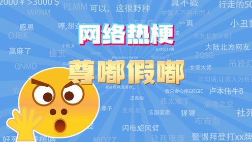 【网梗课代表】尊嘟假嘟是什么梗？_高清1080P在线观看平台_腾讯视频