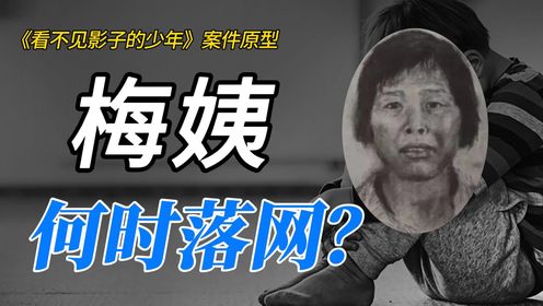 《看不见影子的少年》案件原型：“梅姨”何时落网？为赌博拐卖儿童14人 供出梅姨的张维平被判死刑