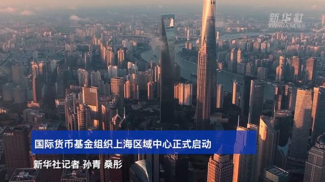 国际货币基金组织上海区域中心正式启动