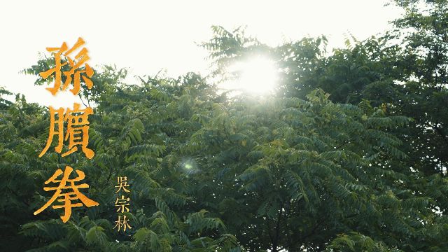 青岛吴宗林老师展示孙膑拳32手