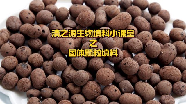 清之源生物填料小课堂之固体颗粒填料