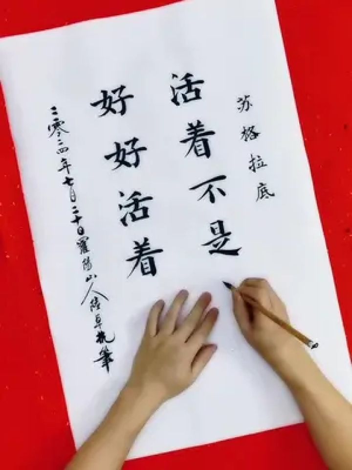 活着不是目的,好好活着才是.#生活感悟 #手写 #写字是一种生活