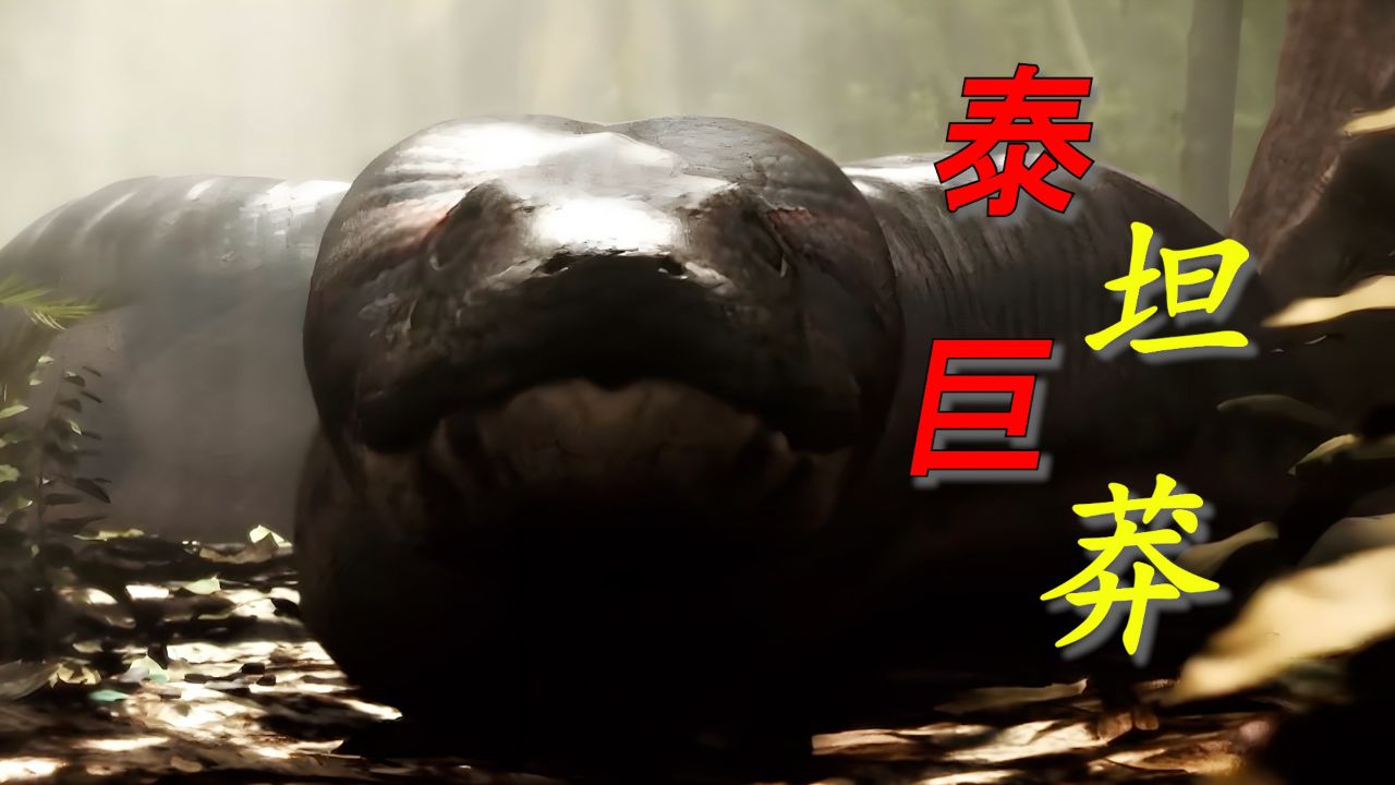 史上最大的蛇有多强?用最劲爆的实验带你认识泰坦巨蟒!
