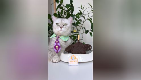 猫王：用饮料瓶自制脆皮小雪糕！