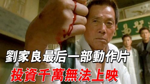 这才是功夫猛片，武打设计堪称一流却无法上映，如今再也拍不出了