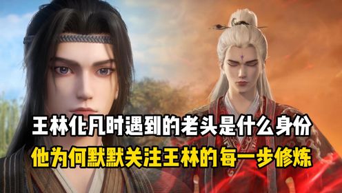 仙逆原著：王林化凡时遇到的老头是什么身份？他为何默默关注王林的每一步修炼？_高清