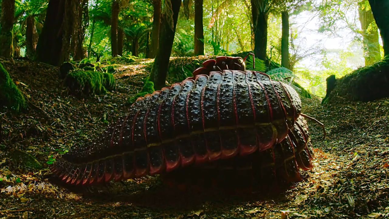 史前千足蜈蚣求偶!