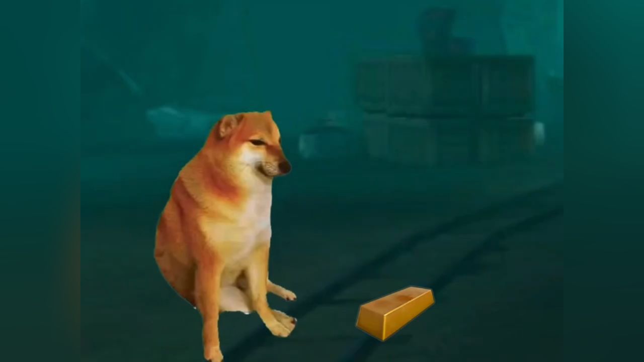 和平精英动画 "狗头动画 小伙捡了一沓钱以为金条,结果是狗牌然后.