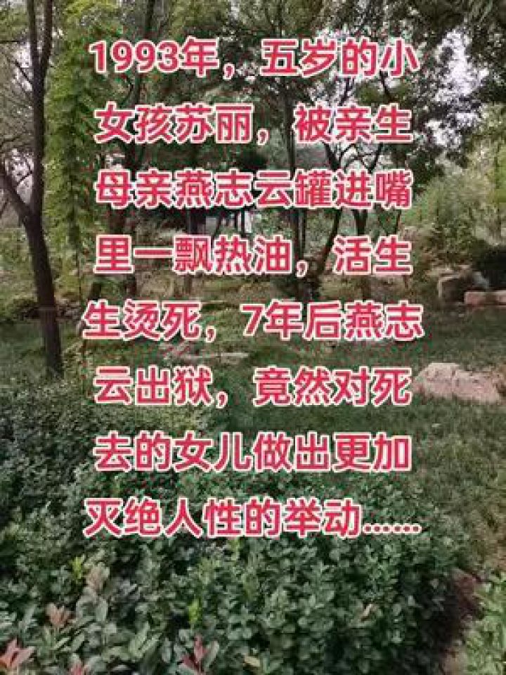 传奇故事苏丽燕志云图片