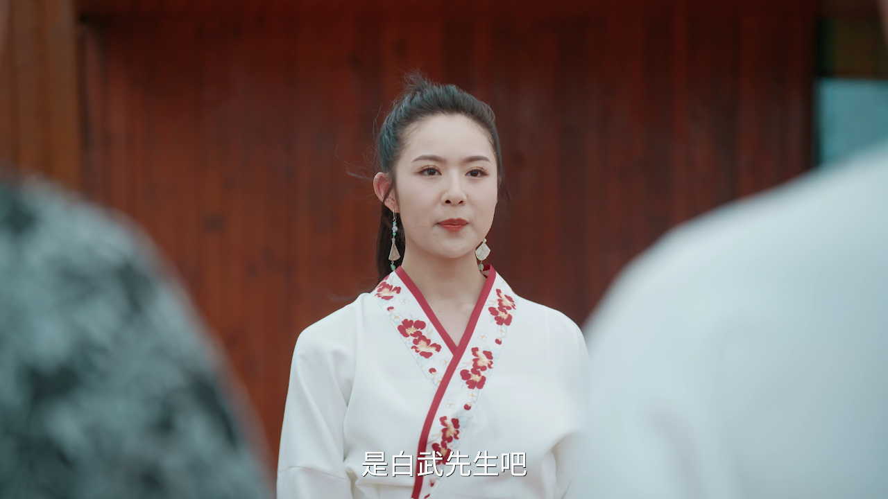 我能预见成功率 28集