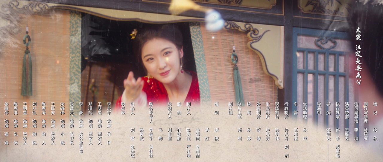 误入君梦 9集