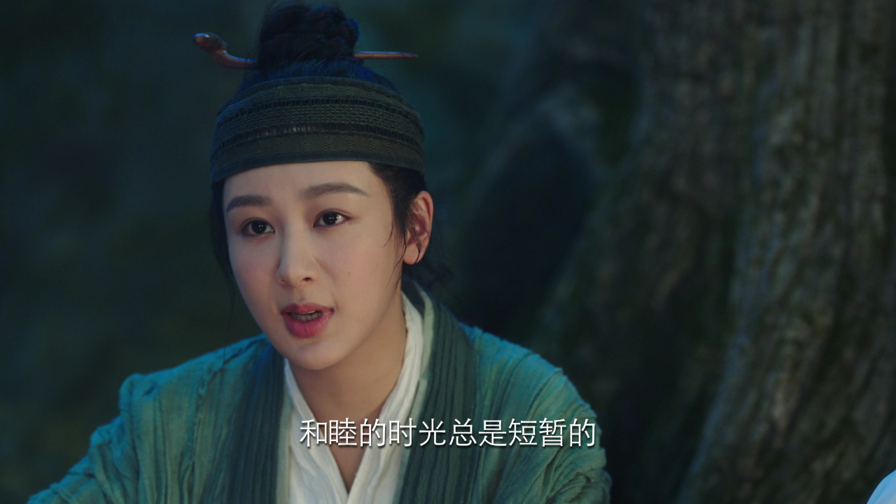 长相思[全季] 12集
