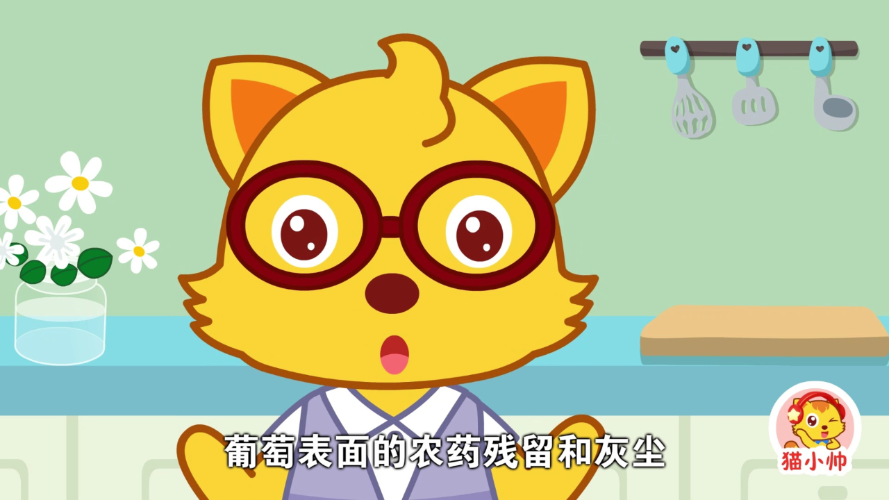 猫小帅十万个为什么 11集