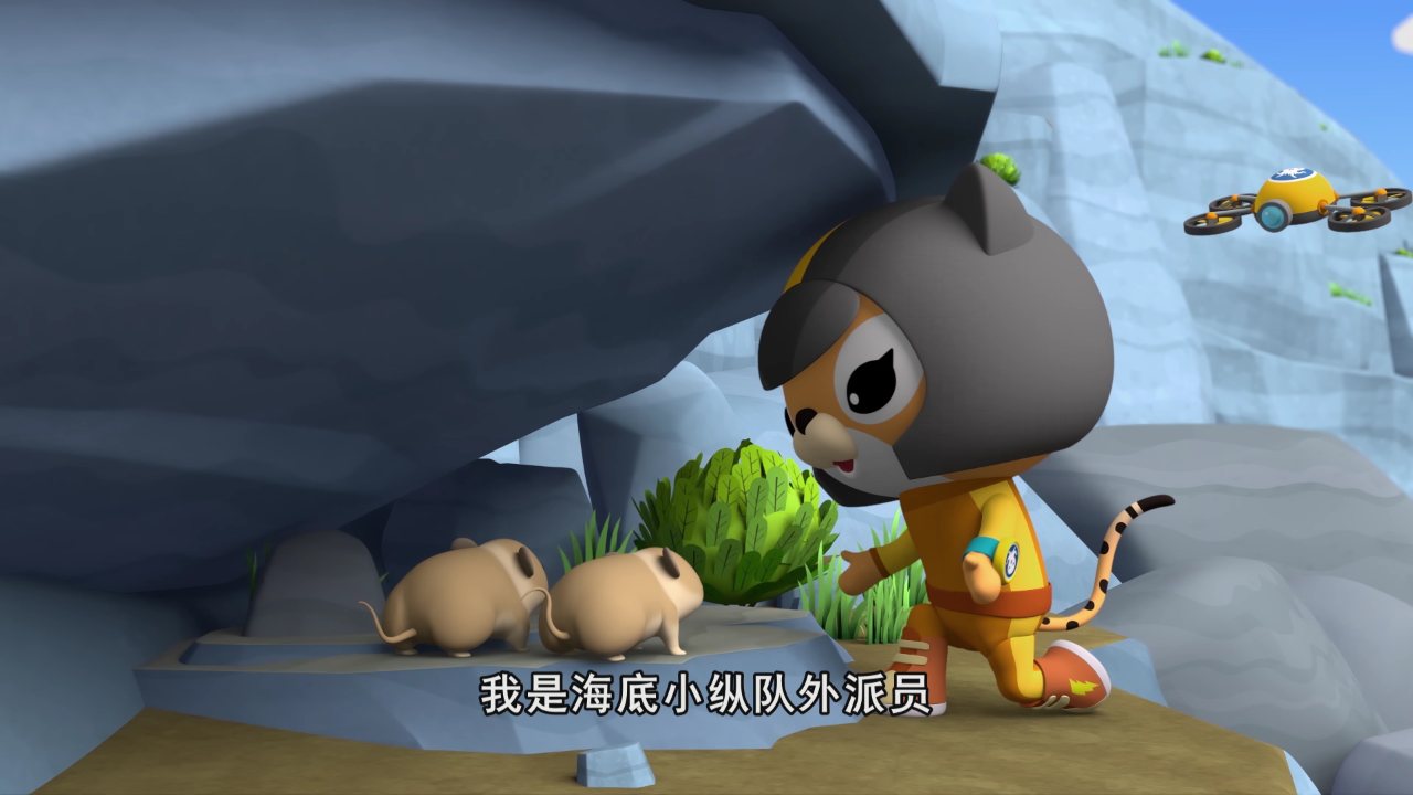 海底小纵队第十季[普通话版] 15集