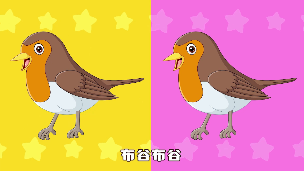 熊猫姐姐 68集