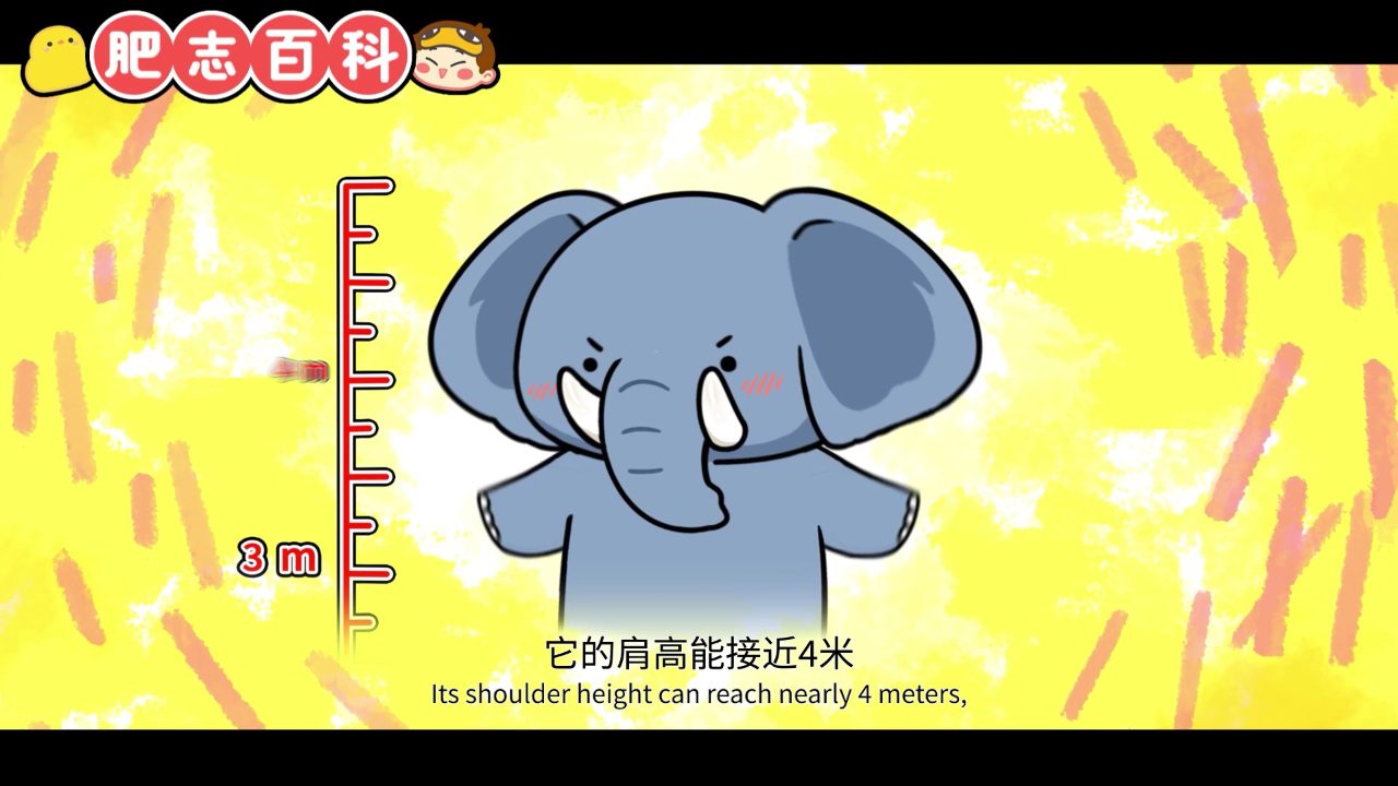 肥志百科第13季 3集