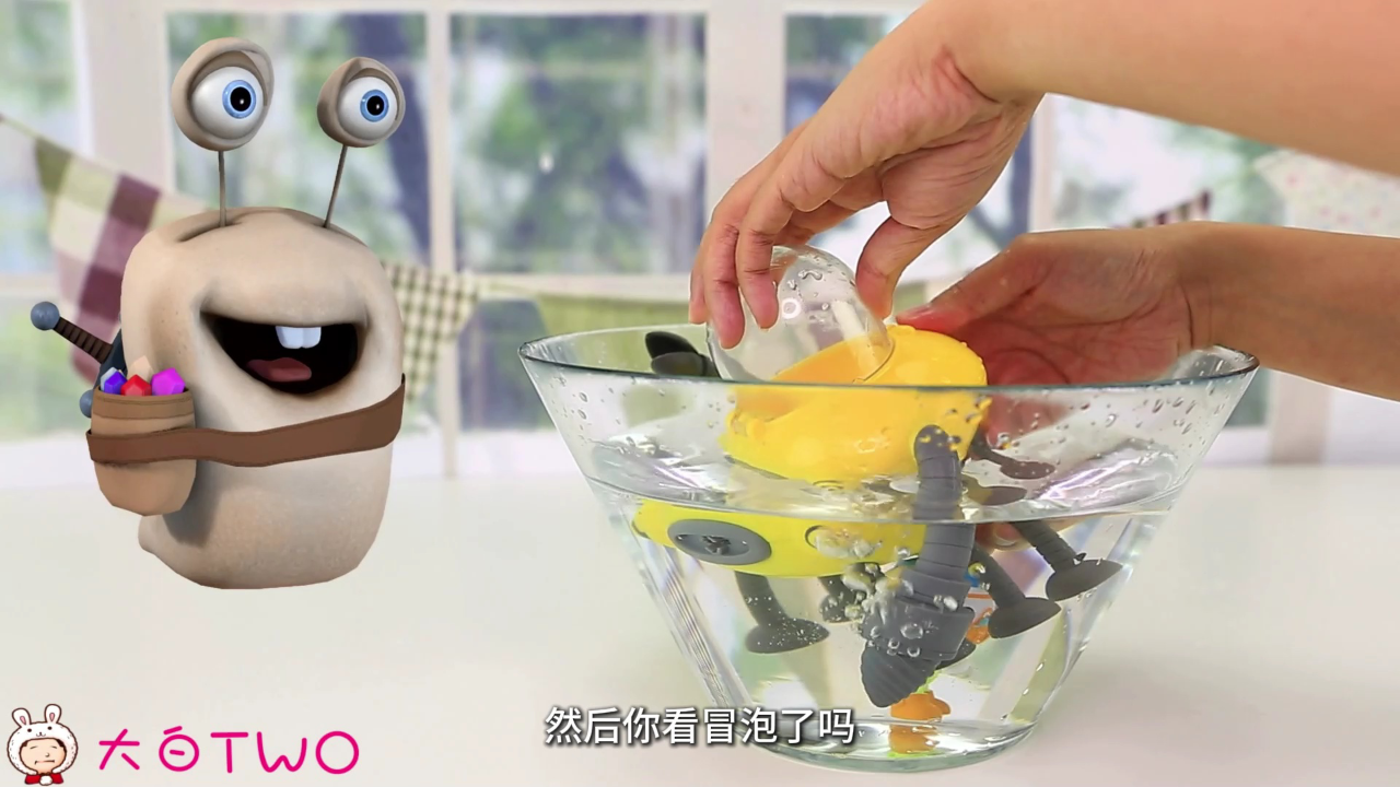 白白侠对对碰 497集