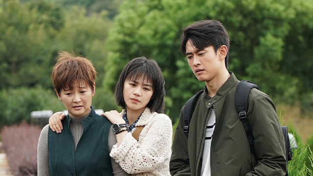 烟火人家 40集