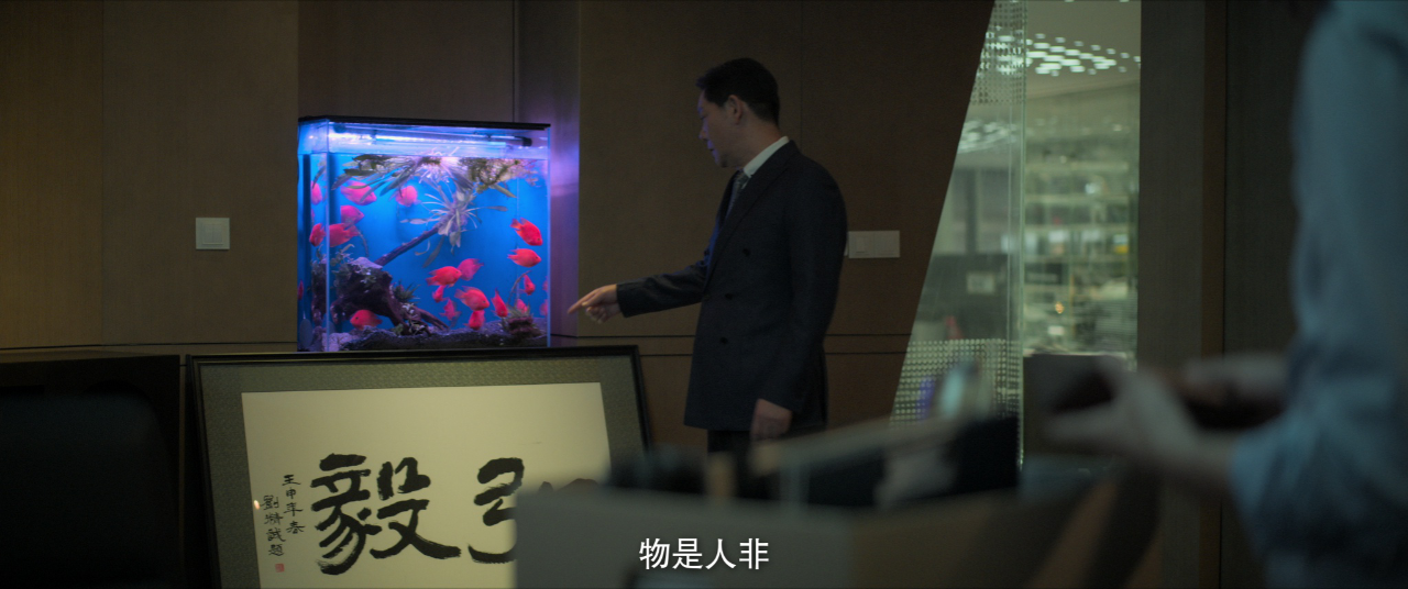 今天的她们 24集