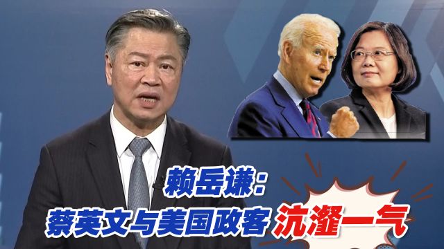 赖岳谦:蔡英文与美国政客沆瀣一气,图利美国人