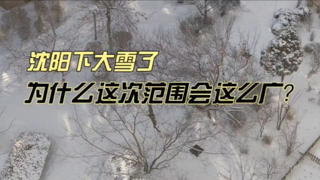 沈阳下大雪了,为什么这次范围会这么广?