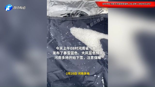 龙年伊始,河南大范围雨雪强势上线,这种小冰粒你见过吗?