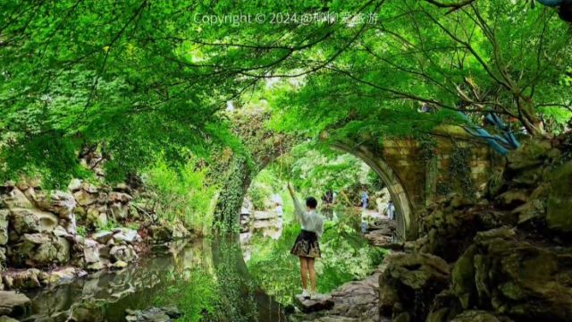 杭州西湖风景太美了,探寻属于柳浪闻莺的绿野仙踪,网红打卡点绝非浪得虚名