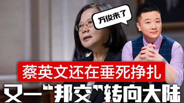 立陶宛转向中国大陆,蔡英文见立陶宛前总统,梵蒂冈也要加强对华关系