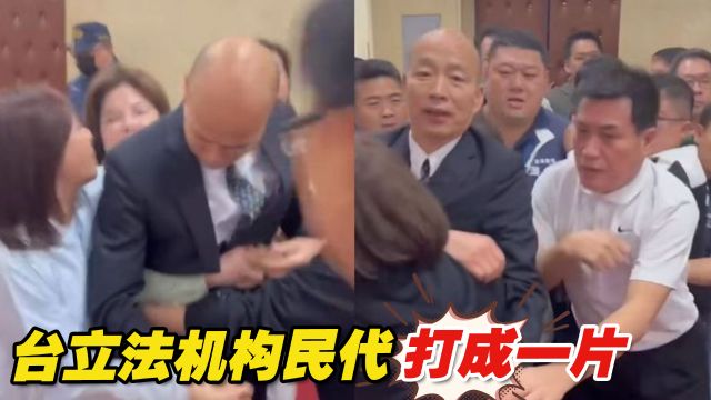 台立法机构民代物理上打成一片,民进党流氓作风逼国民党放下矜持