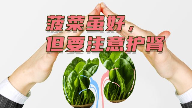 菠菜虽好,但要注意护肾:肾不好如何安全享受绿色蔬菜