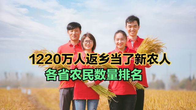 10年间1220万人返乡当了新农人!2022中国各省农村人口数量排名