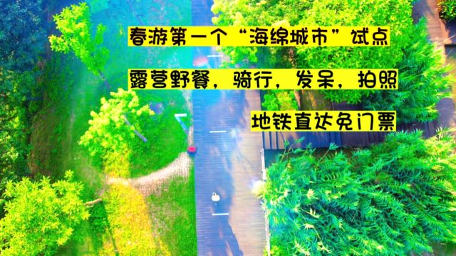 广州天河大观湿地公园:春天绿意盎然,是踏青宝藏地,有游玩攻略