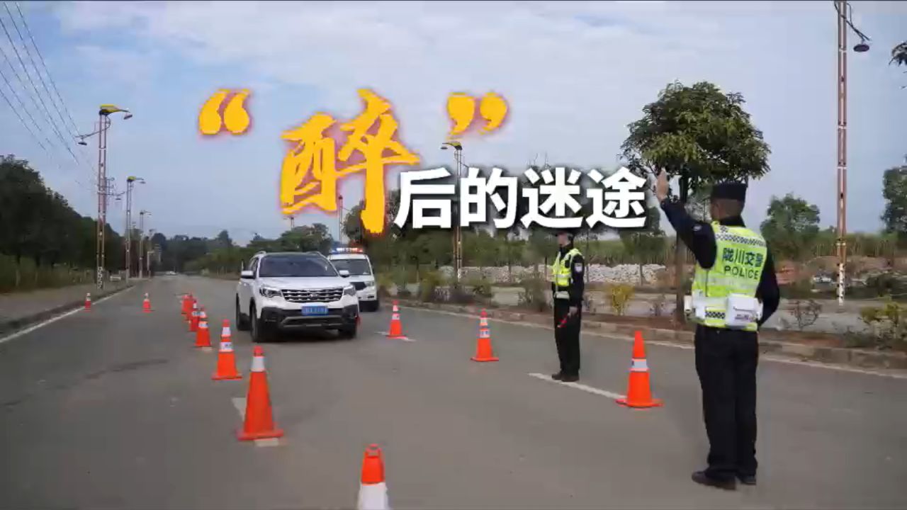 公职人员酒驾醉驾警示教育片_《“醉”后的迷途》_540p_高清1080P在线观看平台_腾讯视频