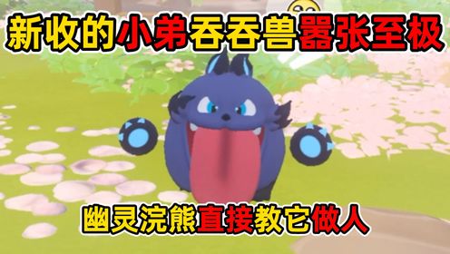 新收的小弟吞吞兽嚣张至极,幽灵浣熊直接教它做人_高清1080P在线观看平台_腾讯视频
