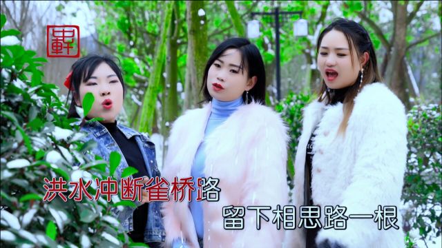 山歌情缘山歌《红尘陌路心凄凉》又是这3位靓女合唱,太板扎了