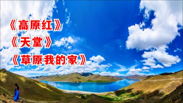 高原歌曲:容中尔甲《高原红》、腾格尔《天堂》、《草原我的家》