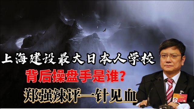 上海建设最大日本人学校,背后操盘手是谁?郑强辣评一针见血