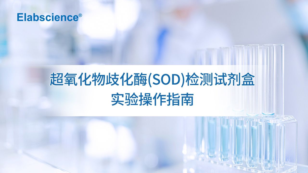 超氧化物歧化酶（SOD）实验操作指南_高清
