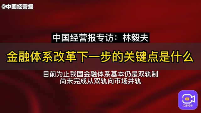 林毅夫:金融结构要重视中小银行,金融价格要放开储蓄利率