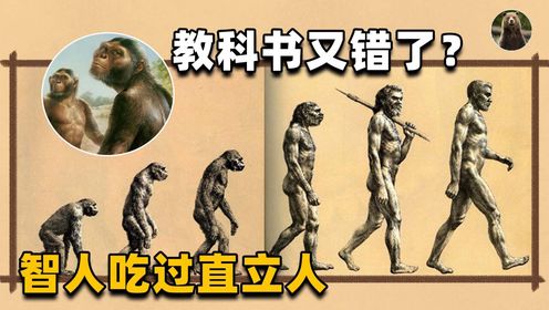 教科书又错了?猿人没进化成现代人,而是被人类祖先吃到灭绝了?_高清1080P在线观看平台_腾讯视频