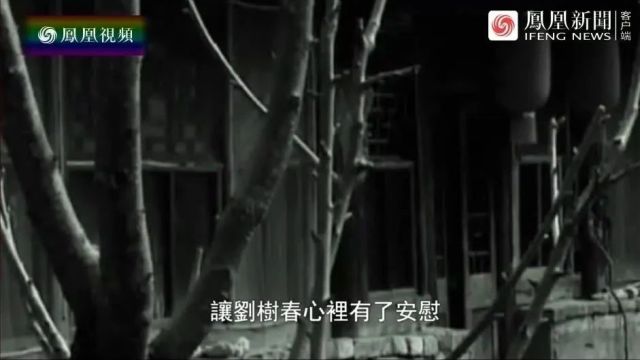 中国人口迁徙系列纪录片《乡关何处中国近代人口迁徙潮》10集(全)