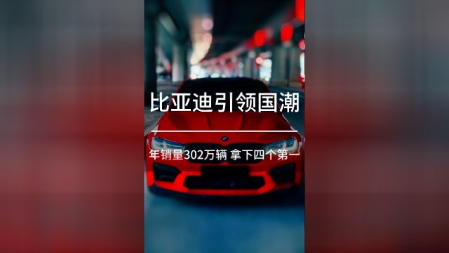 比亚迪年销量302万辆 拿下四个第一