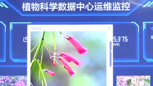 国家植物园建设满两年,大数据+植物,会产生哪些神奇效应?