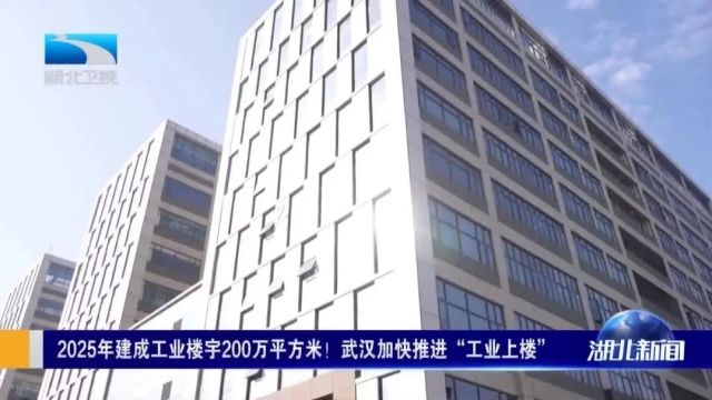 《湖北新闻》聚焦洪山区“工业上楼”:走进天辉医用生物材料产业园