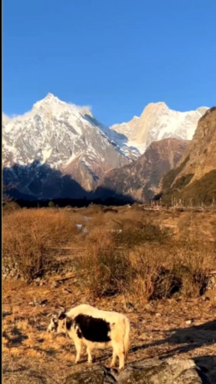 24-1-6 9:28～11:07看西藏日喀則市吉隆縣吉隆鎮熱瑪村:喜馬拉雅山