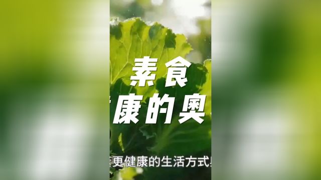 这个养生减肥的灵方妙药,唯有茹素,我吃素身心都健康,每天精神敏锐,邀请大家一起来加入茹素的行列 #素食