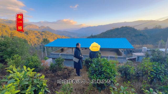 风景不错,但住着就是不舒服